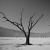 Dead Vlei - Namib Desert, Namibia